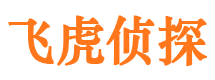 霍城市场调查